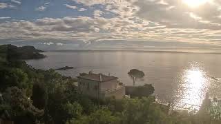 CANNES 🇫🇷 On the train between ThéoulesurMer and SaintRaphaël along the Corniche dOr part 2 [upl. by Gintz]