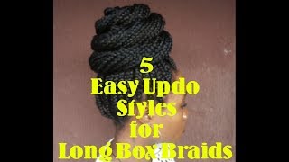 5 Ways To Style Long Box Braids NO 1  DIY UPDO STYLES [upl. by Ididn803]