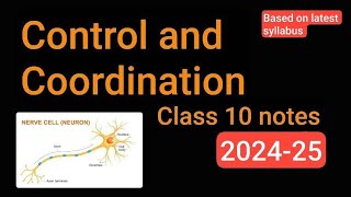 control and coordination class 10 notes biology [upl. by Ringo824]