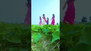 Bijuria Nagpuri Song shortvideo ytshortsindia shortreels [upl. by Lizned878]