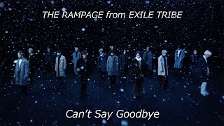 THE RAMPAGE  Cant Say Goodbye MUSIC VIDEO [upl. by Aneelehs]