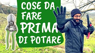 POTATURA 5 cose da fare PRIMA di tagliare rami [upl. by Yerac]