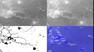 Physarum Tracking OpenCV  Processing [upl. by Garibull]