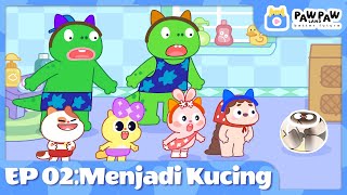 Anak Kucing Meong Meong ‼️ KUCING LUCU BANGET BIKIN GEMES  KUCING MEONG MEONG [upl. by Aiasi]