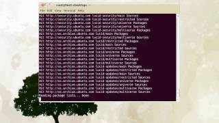 Installing LTSP on Edubuntu 1004 [upl. by Colline]