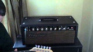 Traynor YRM1 Reverb Master Demo [upl. by Francine181]