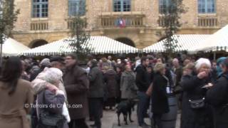 Fête de la truffe à Sarlat la dégustation de Croustous [upl. by Elcarim583]