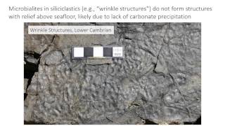 27  Microbial sediments [upl. by Frantz]