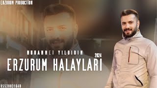 Muhammet Yıldırım  Erzurum Halayları 2024  Erzurum Production • 2024 [upl. by Naillil]