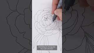 How to draw a Peony step by step tutorial [upl. by Onafets658]