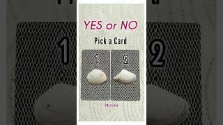 YES or NO Tarot⚡ [upl. by Aimak]