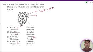 Which of the following set represents the correct labelling of AB C and D with respect to the giv [upl. by Aneladdam]