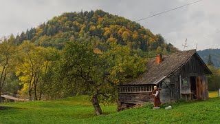 She Lives Alone in the Mountains — A Hidden Life in Stunning Isolation [upl. by Nrobyalc781]