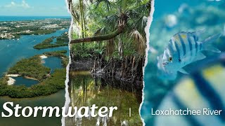 Stormwater and the Loxahatchee River [upl. by Vladi]