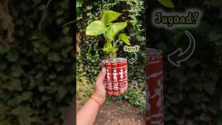 DIY Planter From Diwali Waste Materials🌸 shorts ytshorts kabaadsejugaad homedecor warlipainting [upl. by Athalia770]