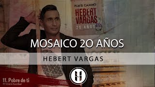 Mosaico 20 Años  Hebert Vargas 20 años por el camino [upl. by Jerusalem]