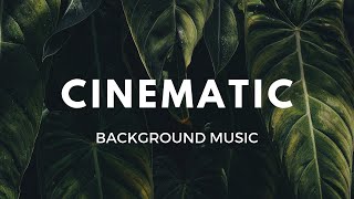 Energetic Rock 30 sec  RoyaltyFree Background Music  Cinematic [upl. by Odessa]