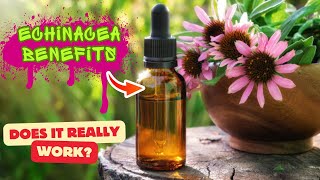 Amazing Health Benefits of Echinacea  Echinacea Health Benefits [upl. by Gladi]