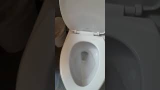 Perfect Toto Drake Elongated Toilet CST744S1 [upl. by Llertram192]