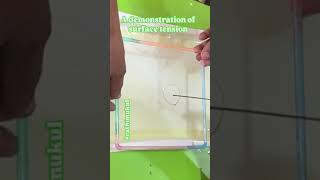 Surface tension demonstrationLoop turns circular class11physicssurfacetensionshortsshortsfeed [upl. by Aznaed294]