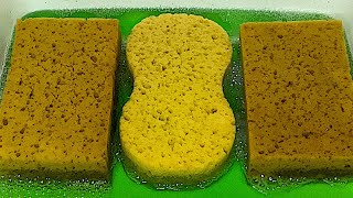 ASMR DISH SOAP  WATER • SPONGES SQUEEZING • RINSING 🟢🟤🟡 [upl. by Melinde]