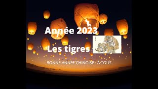 🐯 Tigres  signe astrologique chinois pour lannée 2023🐯 [upl. by Imugem36]