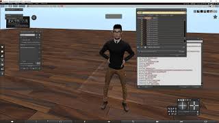 Using Firestorm AO in Second Life [upl. by Wailoo993]