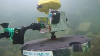 Benthic Excursion Module at Porteau Cove [upl. by Ahsin43]