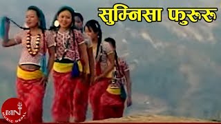 New Nepali Limbu Song 2072  Sumnisa Fururu  Hasta Raj Sherma Brabim Sherma [upl. by Arimaj]