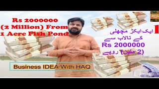 Rs 2000000 2 Million From 1 Acre Fish Pond Simple highly Profitable Business IDEA fish farming [upl. by Ffirahs458]