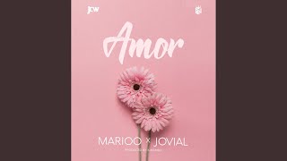 Mi Amor feat Jovial [upl. by Nirret741]