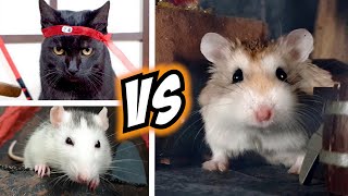 Epic HAMSTER vs EVIL CAT MOVIE with real life ANIMAL ACTORS 🐹😼 [upl. by Lamar199]