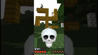 Minecraft 💀 [upl. by Nnylyak]