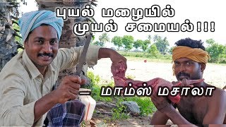 புயல் மழையில் முயல் சமையல்   மாம்ஸ் மசாலா  HEALTH BENIFITS [upl. by Howard]