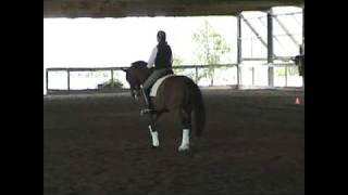 Conrad Schumacher led the USDF Trainers Conference schooing Renee Johnson and Kamuela [upl. by Sellma]