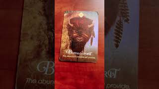 330 Gemini  Spirit Animal Oracle Message [upl. by Magdaia]