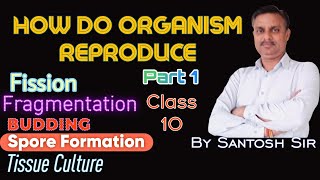 HOW DO ORGANISM REPRODUCE  CLASS 10 [upl. by Adniled]