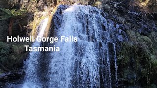 Holwell Gorge falls Tasmania Kid friendly waterfalls [upl. by Bowden]