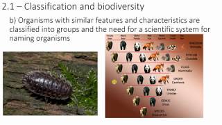 The classification system [upl. by Esiled]