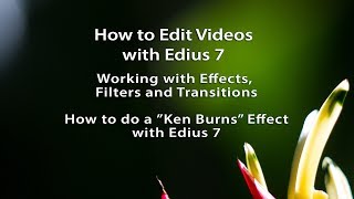 How to Edit Videos with Edius 7 Lesson 26 How To Do A Ken Burns Effect with Edius 7 [upl. by Killarney]