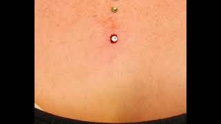 The Piercings MicroDermal Piercing by Ferry wwwthepiercingseu  Instathepierc [upl. by Mali]