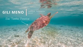 Snorkeling in Turtle Paradise Gili Meno  Indonesia 2024  Underwater Short Film [upl. by Magnum645]