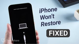 iPhone Wont Restore in Recovery Mode Here is the Fix Top 3 Ways 2024 [upl. by Aloeda866]