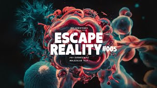 🍄 ESCAPE REALITY 005  Molecular Trip  DJ set Psychedelic Downtempo mixed by escapall [upl. by Wieren22]