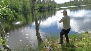 Effektivt markfiske Fiskemetoder aktivt fiske og kilosørret [upl. by Alcock]