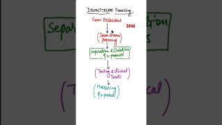 What is Downstream Processing Biotechnology downstream processing biology shorts [upl. by Votaw]