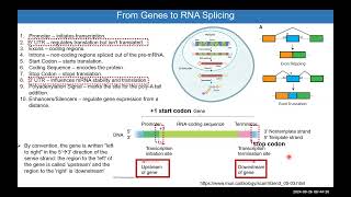 Module 7 NCBI Ensembl GenomeBrowsers PrimerDesign HSS3109 [upl. by Tegdirb488]