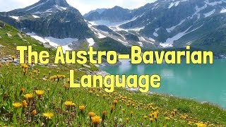 The AustroBavarian Language [upl. by Wolfe195]