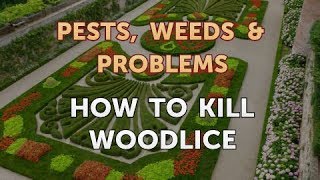 How to Kill Woodlice [upl. by Onivla]