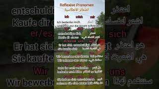 Reflexive Pronomen شرح الضمائر الانعكاسية، تعلم اللغة الالمانية [upl. by Loseff]